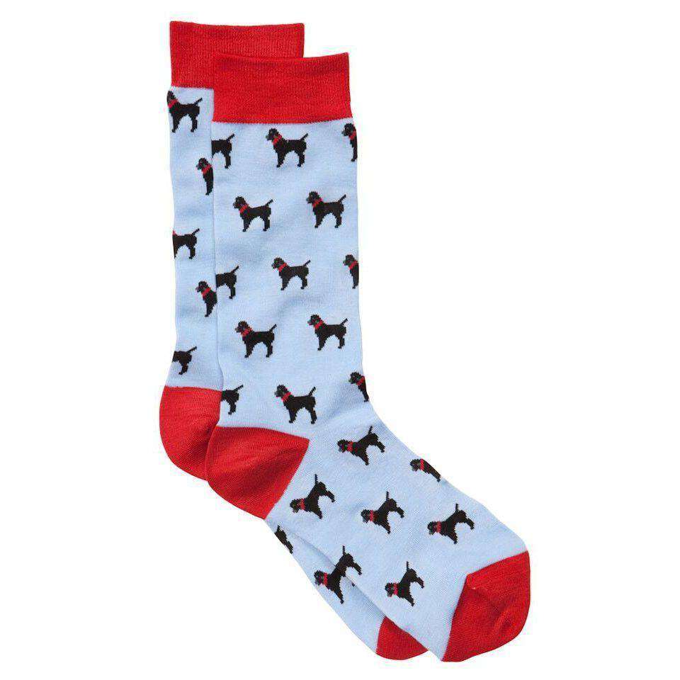 Black Lab Socks in Blue by Southern Proper